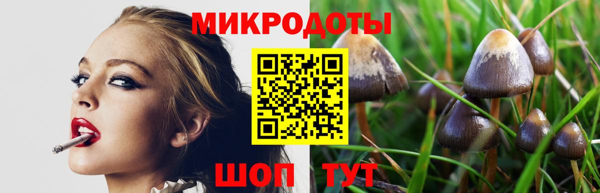 Псилоцибиновые грибы прущие грибы  Галлюциногенные грибы мицелий  Вход с VPN  Губкинский 